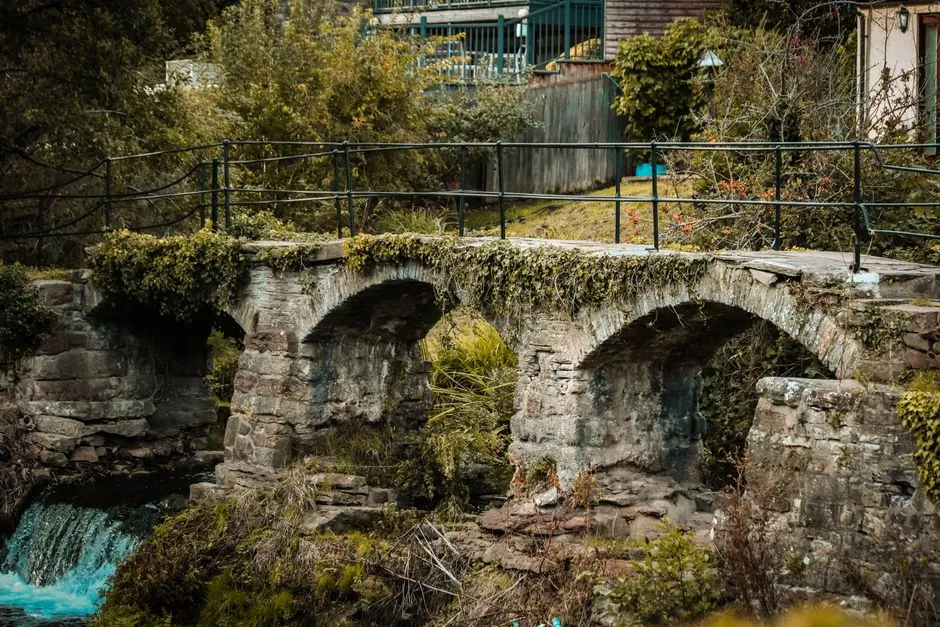 Best Time to Visit County Durham: Seasonal Guide